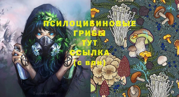 гашик Алексеевка