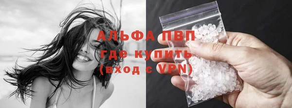 винт Алзамай