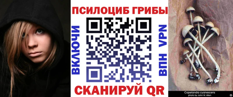 Галлюциногенные грибы мицелий  Вышний Волочёк 